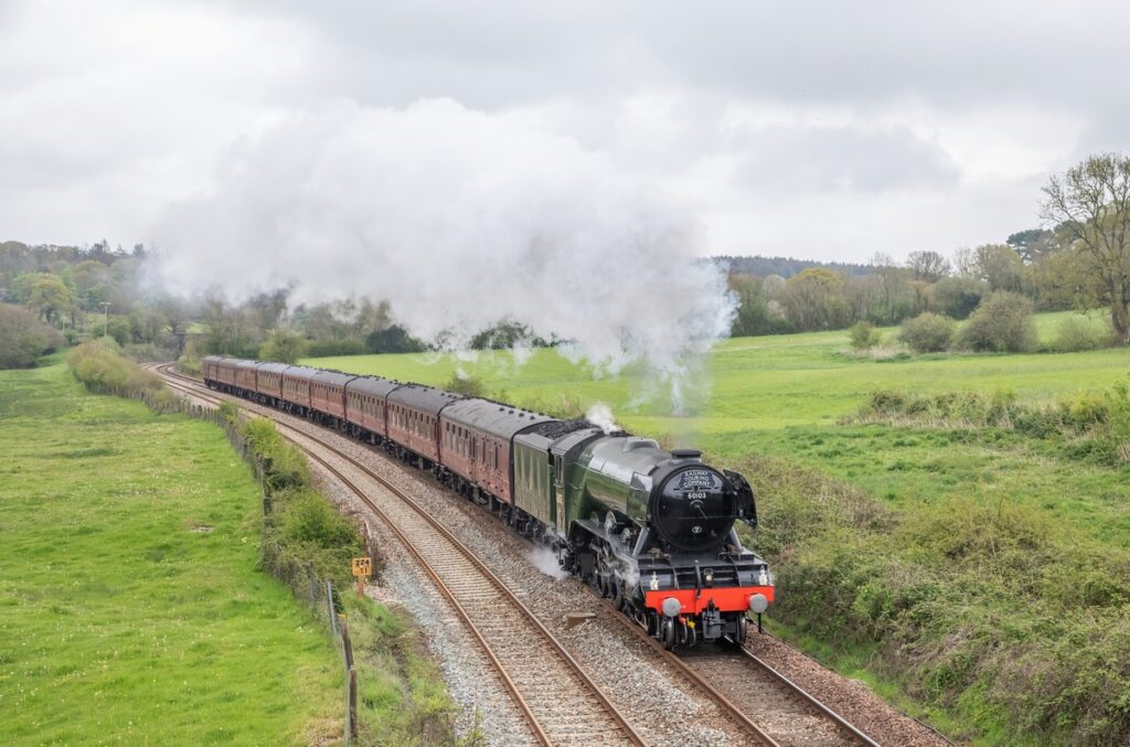 Buy My Photos For Christmas