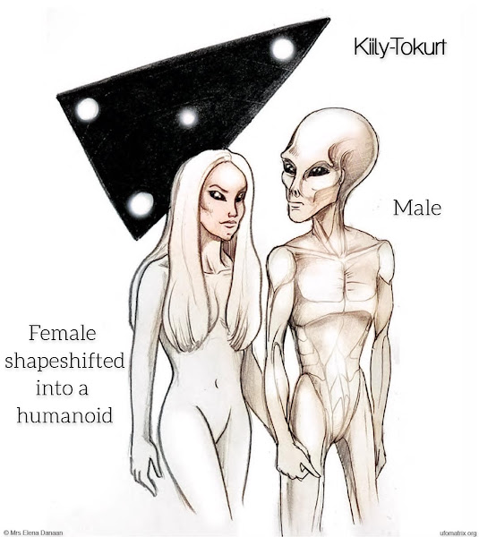 Kiily-Tokurit – Ancient Alien Race from Vela Constellation