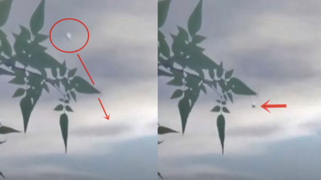 TikTok influencer captures a UFO disappearing in a flash of light