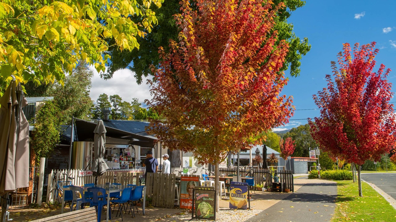 Two police officers shot dead at rural property in Porepunkah, Victoria