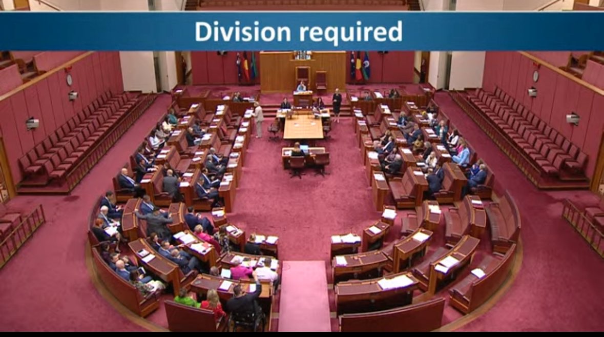 Australia Senate votes YES to inquiry into Social Media age ban