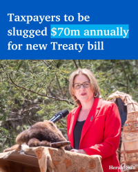 Taxpayers to be slugged $70m annually for new Treaty bill