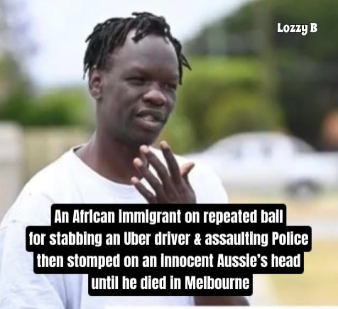 A 65 year old man was murdered by a released African immigration detainee