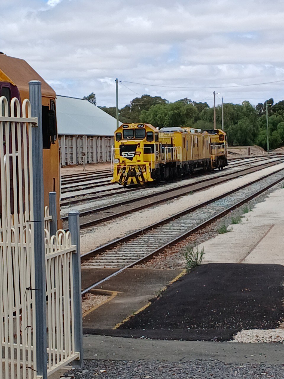 Wow, Track Investigation Train at Swan Hill  and N12 suddenly pops up in Melb Yard!!!
