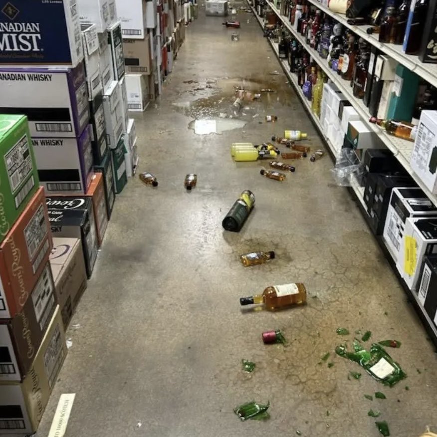 Raccoon Breaks Into Virginia Liquor Store, Gets Drunk on Bourbon