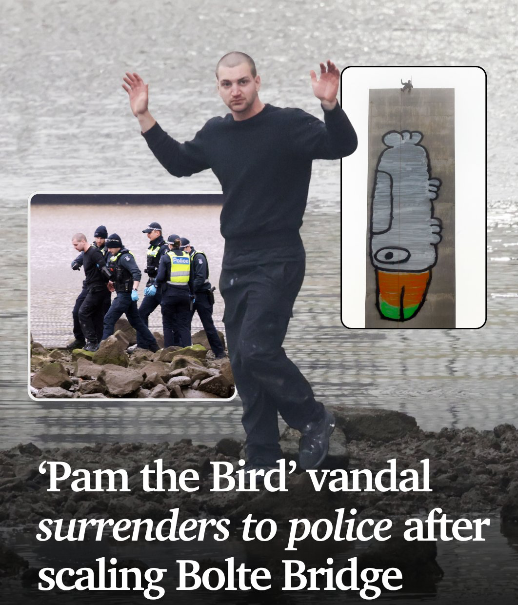 Man scales Bolte Bridge tower in Melbourne, spray-paints ‘Pam the Bird’ graffiti