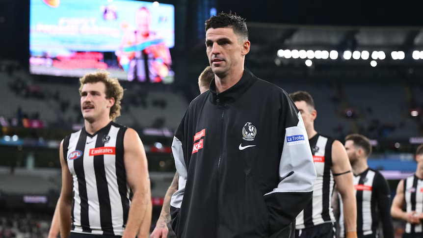 Collingwood great Scott Pendlebury could be out for rest of AFL season